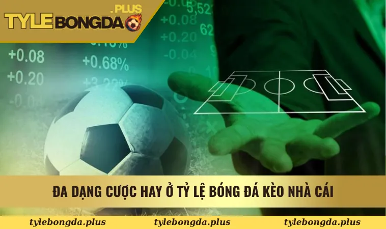 Tỷ Lệ Bóng Đá signalise, Kèo Nhà Cái Hôm Nay - Tỷ Lệ Kèo Nhà Cái 5 11 Đa dạng cược hay ở Tỷ Lệ Bóng Đá Kèo Nhà Cái