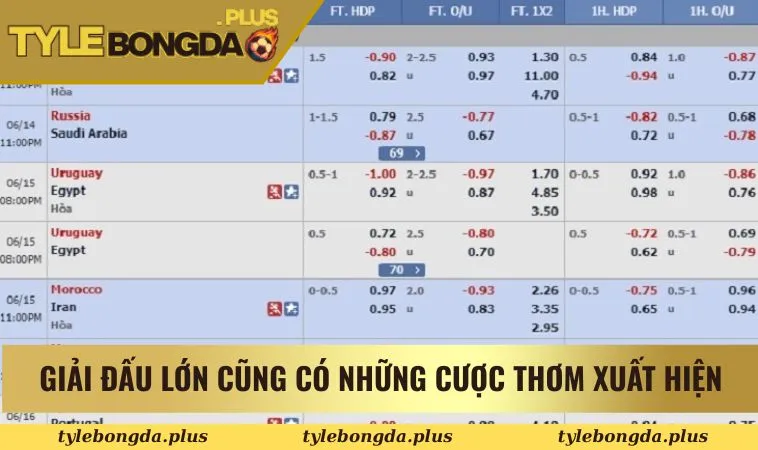 Giải đấu lớn cũng có những cược thơm xuất hiện