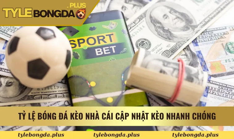 Tỷ Lệ Bóng Đá signalise, Kèo Nhà Cái Hôm Nay - Tỷ Lệ Kèo Nhà Cái 5 10 Tỷ Lệ Bóng Đá Kèo Nhà Cái cập nhật kèo nhanh chóng
